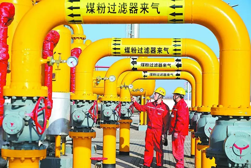 Petrochemical plant pipelines